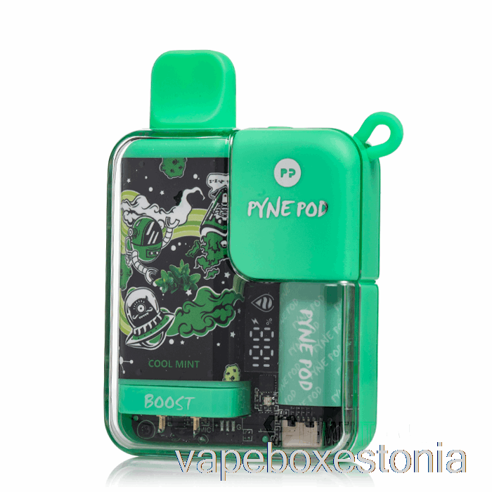Vape Box Estonia Pynepod 8500 ühekordne Lahe Piparmünt